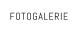 FOTOGALERIE